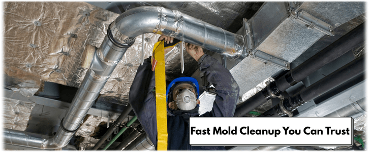 Air Duct Mold Removal in Peoria AZ