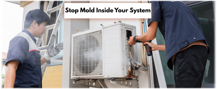 HVAC Mold Removal Peoria AZ